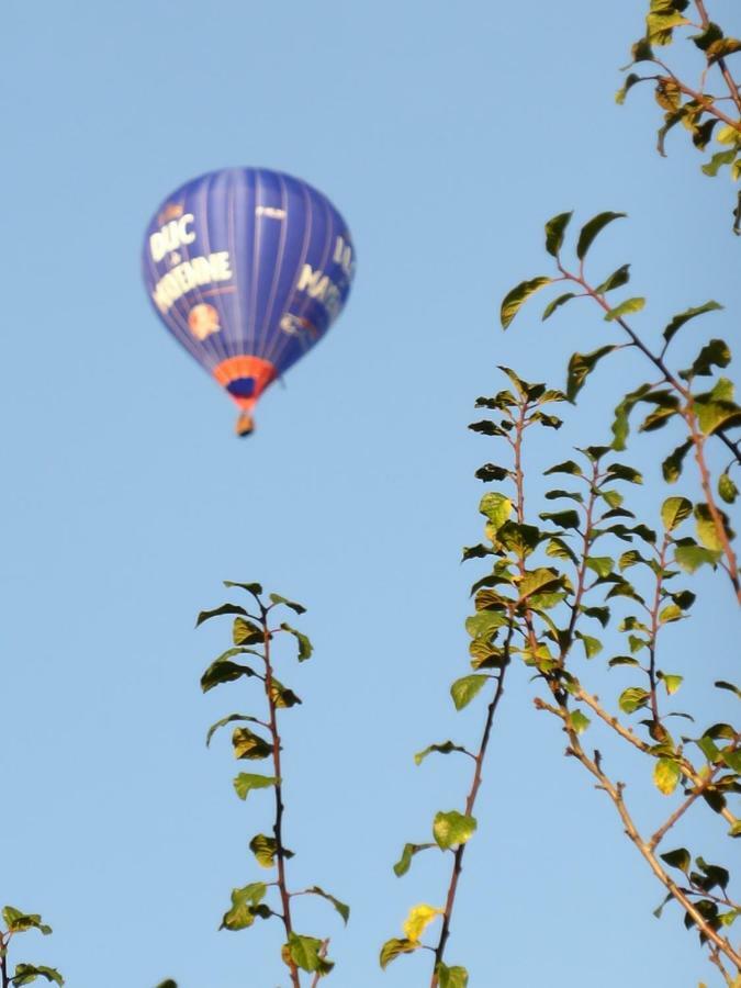 Le Petit Verger, 1 Impasse De La Fenouillere 61330 Céaucé エクステリア 写真